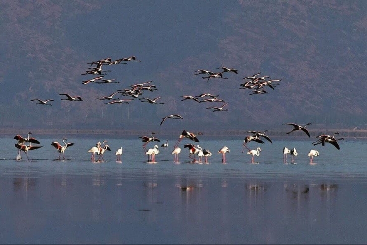 “Acıgöl” Kendine Hayran Bırakıyor