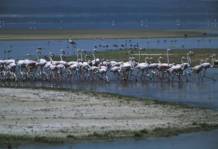“Acıgöl” Kendine Hayran Bırakıyor