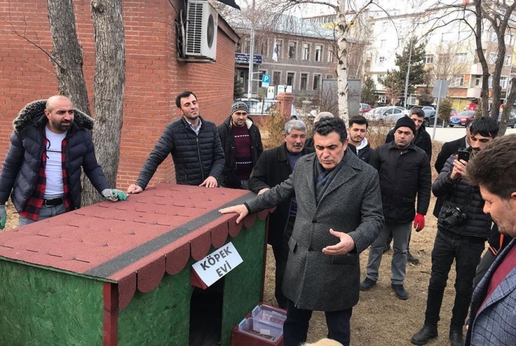 Ardahan’da Artık Sokak Hayvanlarının Da Evi Var