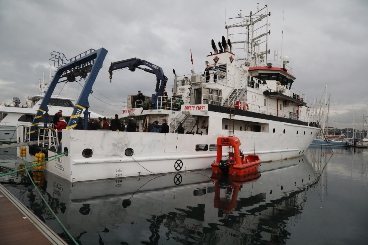 Şahin Antartika Yolcusu