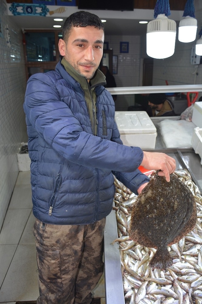 Bu Kalkan Balığının Fiyatı 585 Tl