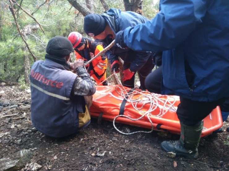 Kaybolan Keçilerini Ararken Uçurumdan Düşerek Öldü