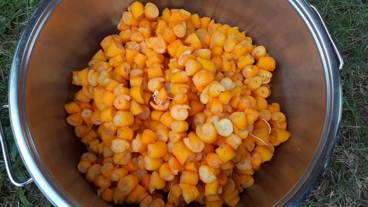 Mezitli’nin Gönüllü Kadınları, Turunç Reçeli Yaparak Kız Çocuklarını Okutuyor