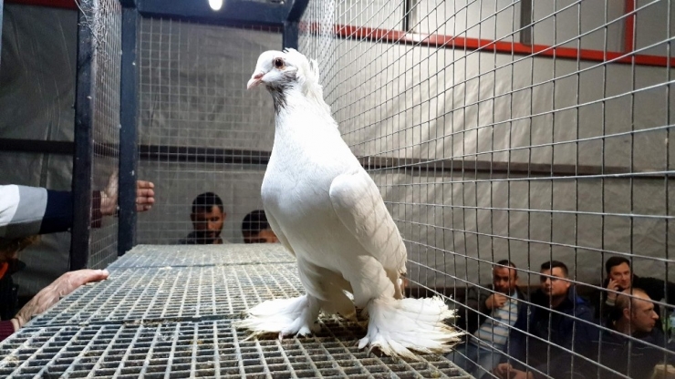 Nazilli’de Depremzedeler Yararına Mezat Düzenlendi