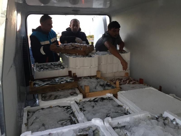 Ordu’da Su Ürünlerine Sıkı Denetim