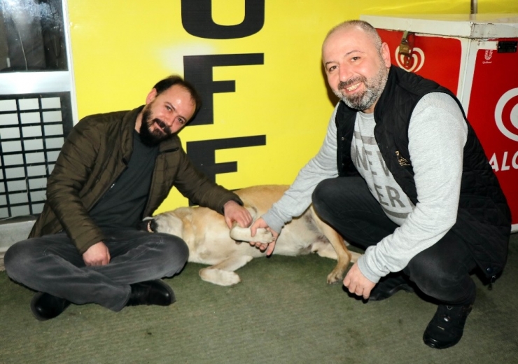 Soğuk Kış Günü İnsanın İçini Isıtan Hareket