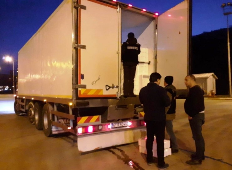 3 İlde 1,5 Ton Balığa El Koyuldu