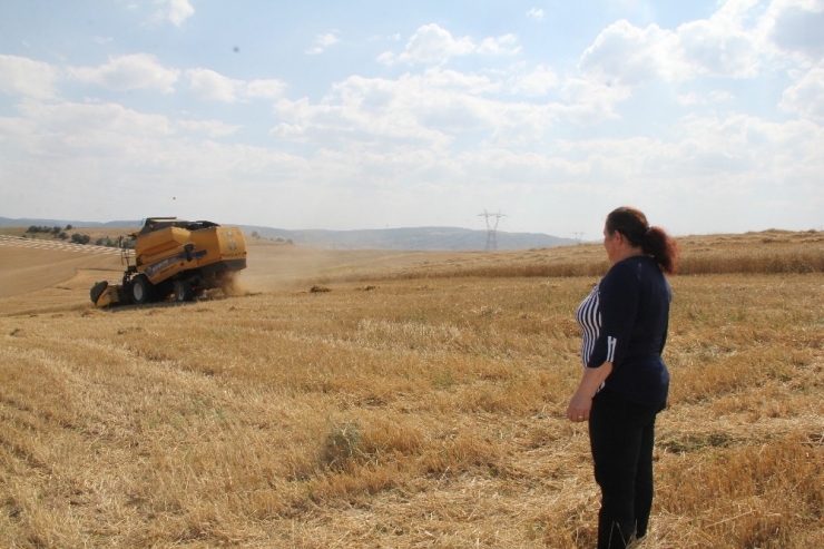 Aydın’ın 49 Kırsal Kalkınma Projesine 24 Milyonluk Hibe Desteği