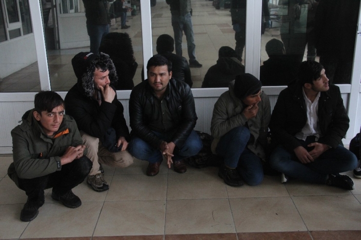 Adana’da 12 Kaçak Göçmen Yakalandı
