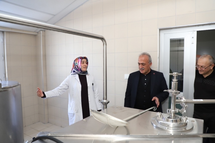 Süt Ve Ekmek Üretimine Bilimsel Dokunuş