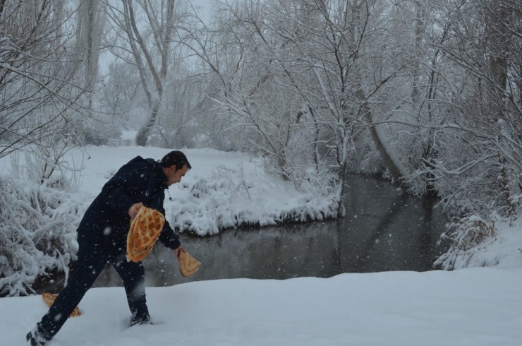 Bünyan Belediyesi Yaban Hayvanlarına Yem Bıraktı
