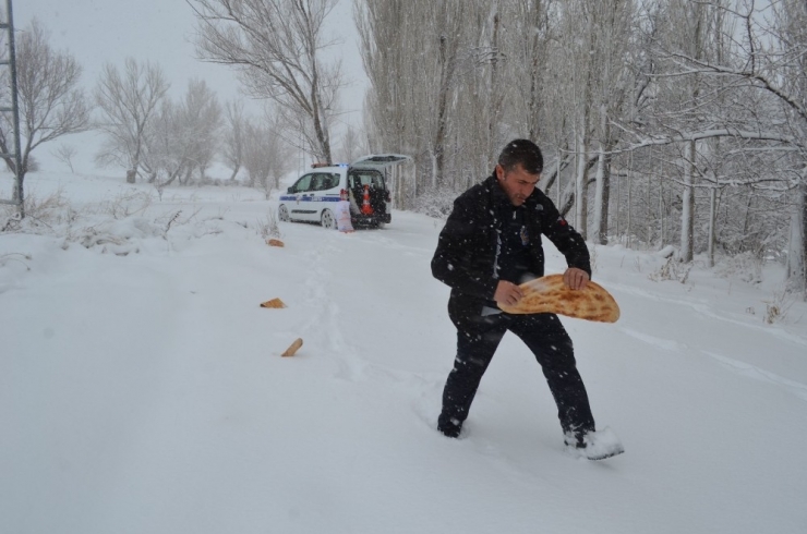 Bünyan Belediyesi Yaban Hayvanlarına Yem Bıraktı