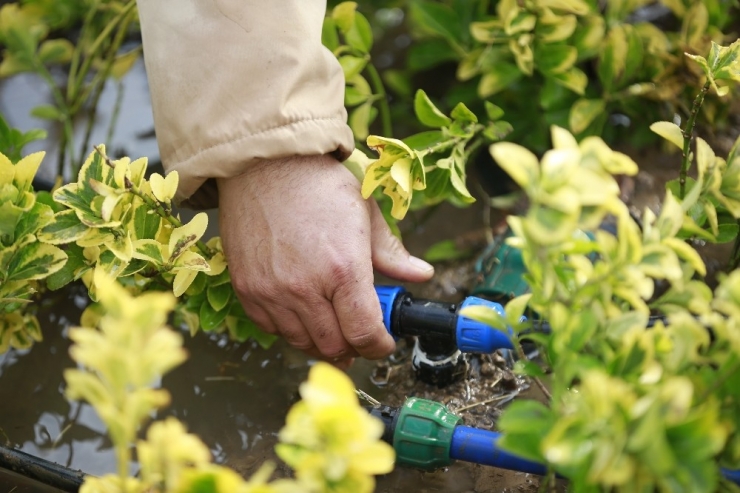 Büyükşehir’den Konyaaltı Sahili’nde Hummalı Çalışma