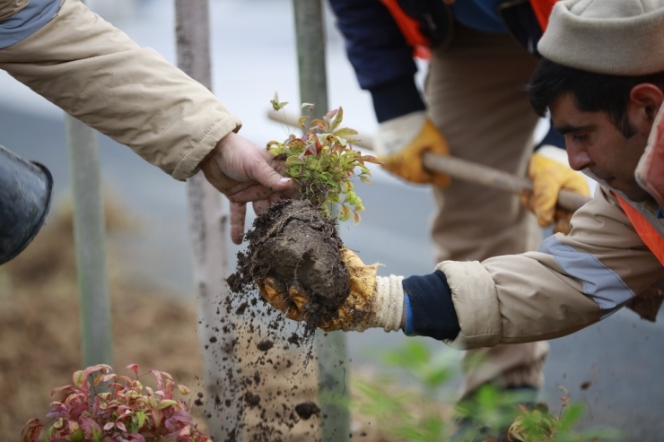 Büyükşehir’den Konyaaltı Sahili’nde Hummalı Çalışma