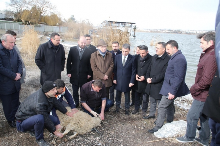 Mogan Gölü’ne Yeni Düzenleme