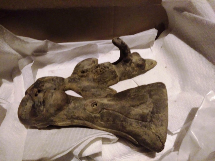 Hisarcık’ta Tarihi Eser Operasyonu