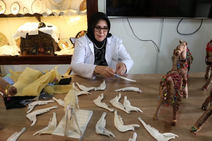 Kelle Paça Kemikleri Deveye Dönüşüyor