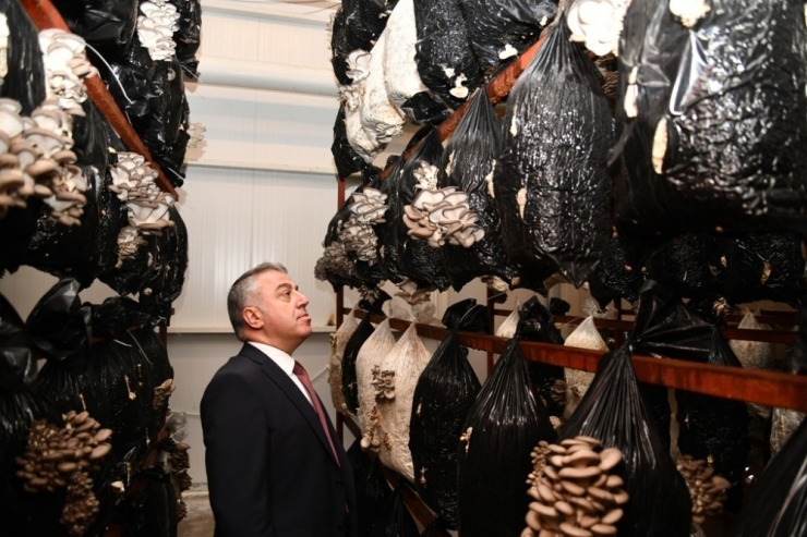 Kkdp Desteklemeleri Meyvesini Vermeye Devam Ediyor