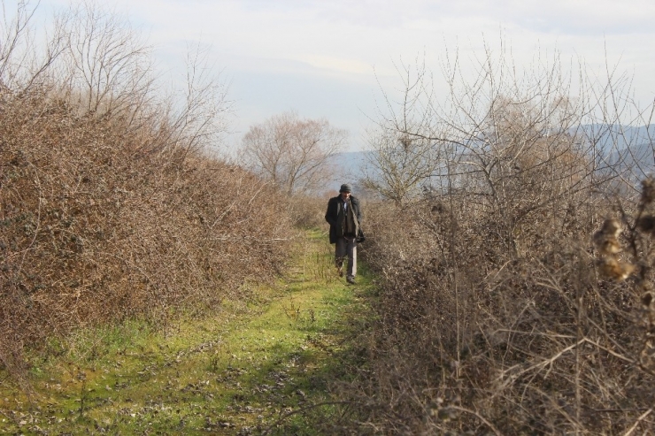 Köyün Merası Var, Ama Hayvan Otlatılamıyor