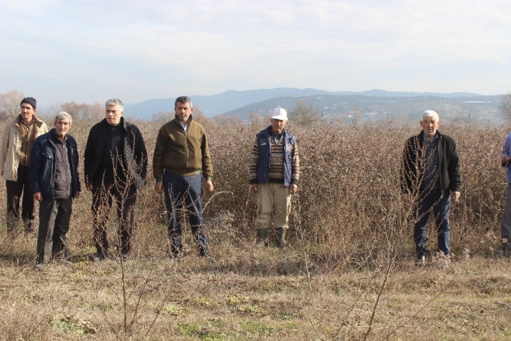 Köyün Merası Var, Ama Hayvan Otlatılamıyor