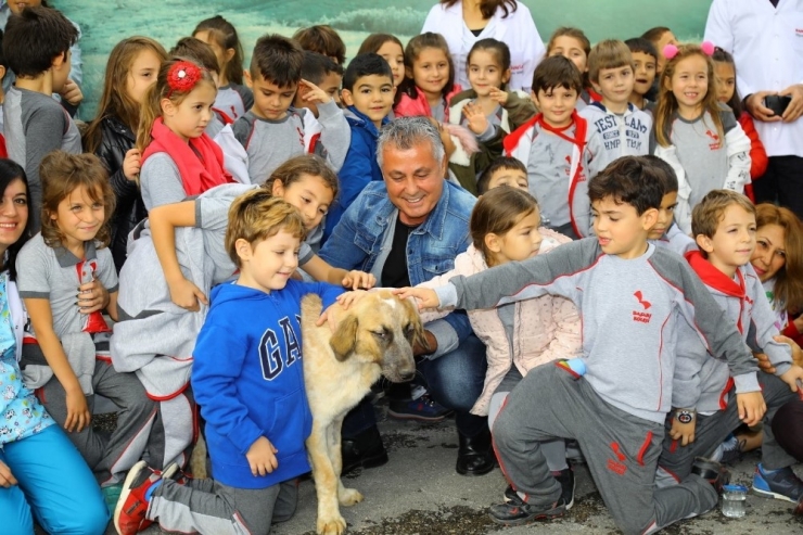 Yılın En Mutlu İlçesi Manavgat Seçildi