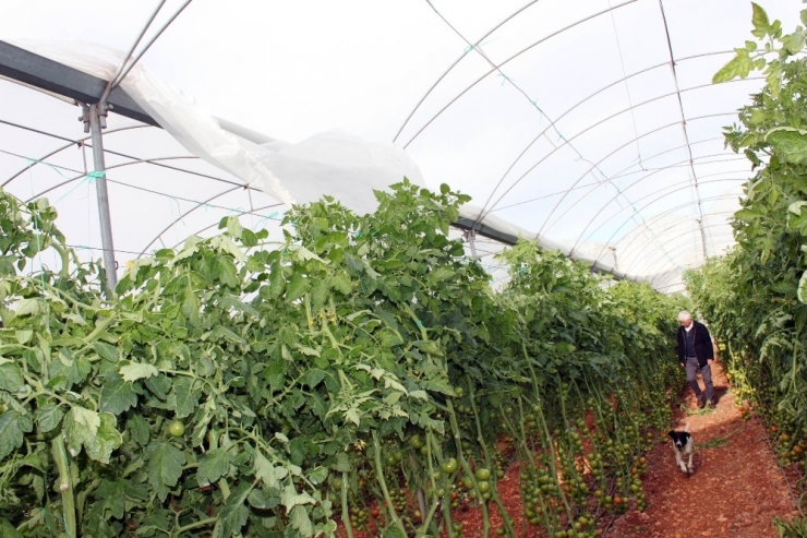 Mersin’de Fırtına Yıktı Geçti