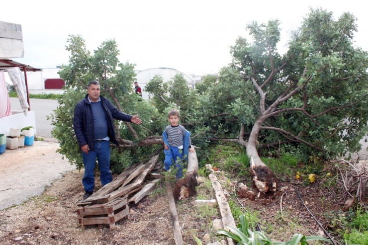 Mersin’de Fırtına Yıktı Geçti
