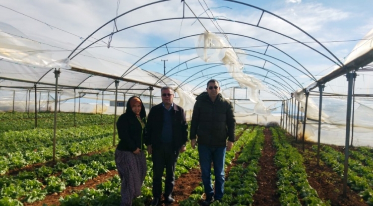 Şiddetli Fırtına Seralarda 3 Milyon 555 Bin Lira Hasara Yol Açtı