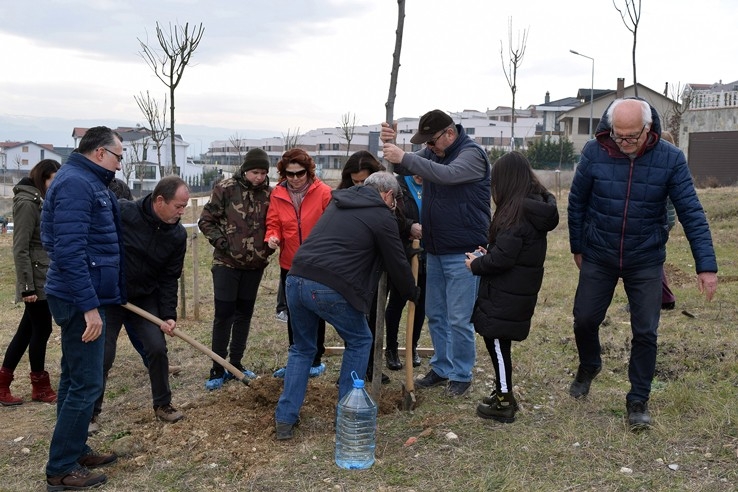 Mahalleli Park Alanlarını Kendi Ağaçlandırdı