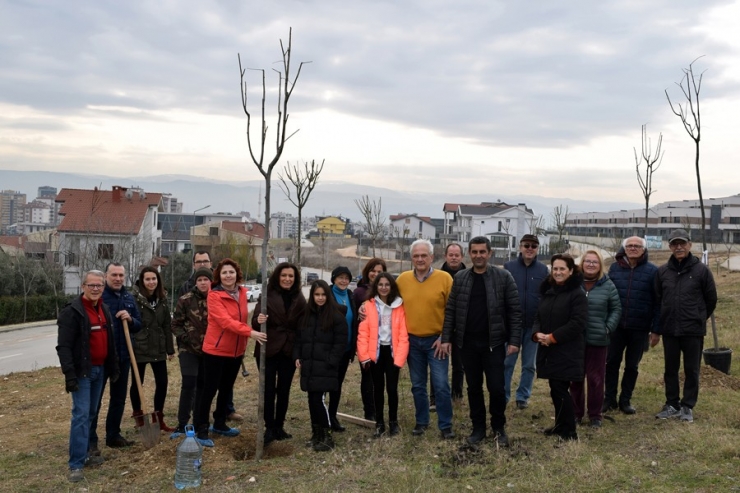 Mahalleli Park Alanlarını Kendi Ağaçlandırdı