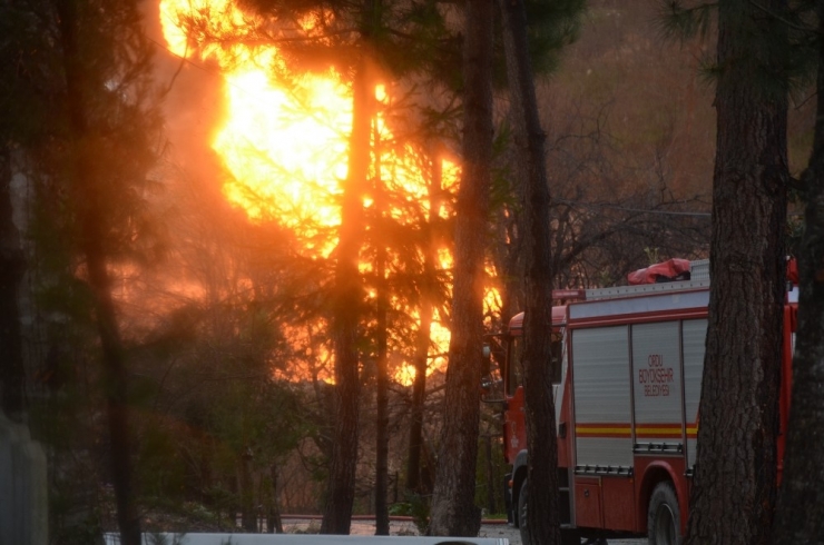 Ordu’daki Doğal Gaz Patlaması