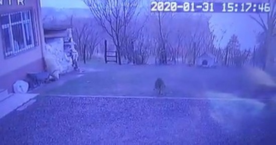 Dehşet Anları Saniye Saniye Kaydedildi