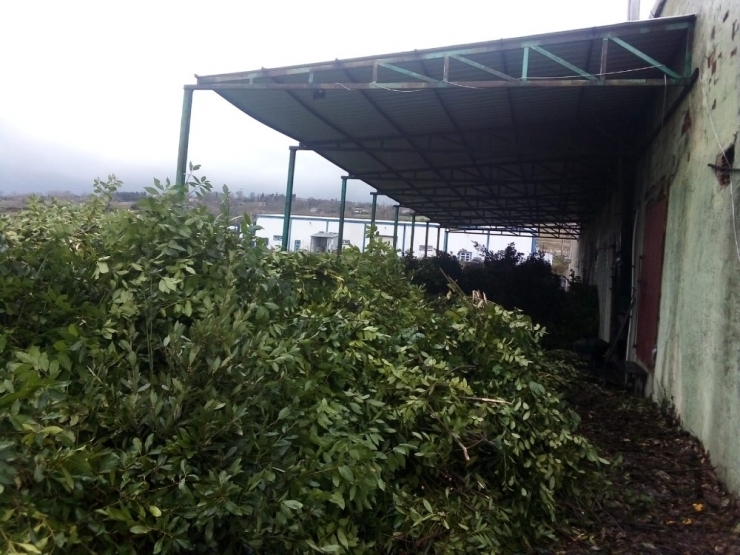 Sinop Osb’de ’Elektrik Kesme’ Tartışması