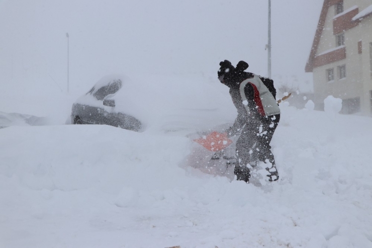Yıldızdağı Kara Doydu
