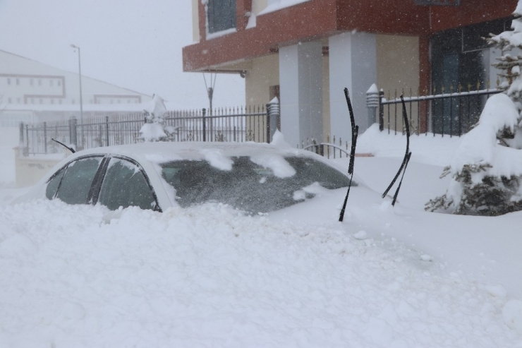 Yıldızdağı Kara Doydu