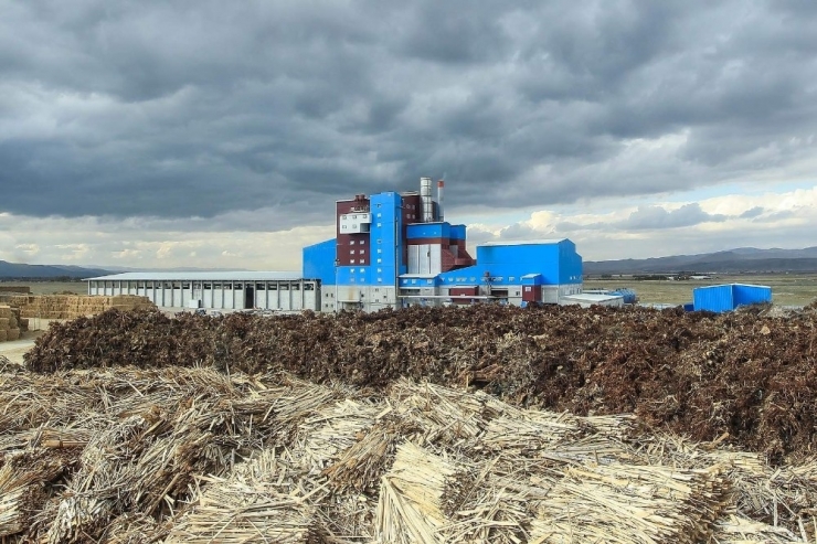 Bordo-mavi Elektrik Santrali