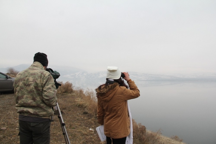 Türkiye’nin Yeni Kuş Cennetinde Kuş Sayımı Yapıldı