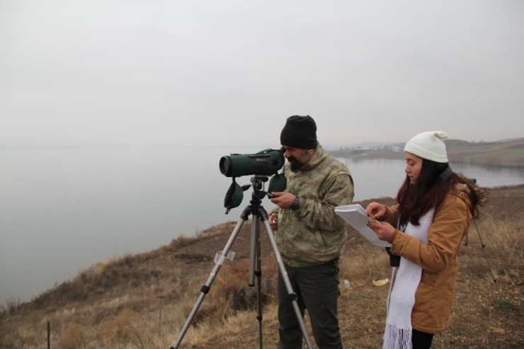 Türkiye’nin Yeni Kuş Cennetinde Kuş Sayımı Yapıldı