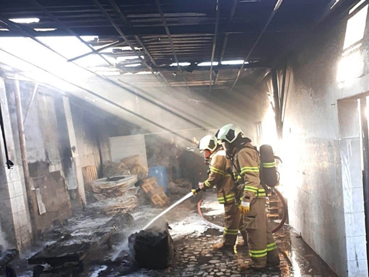 Zeytin İmalathanesinde Yangın Çıktı