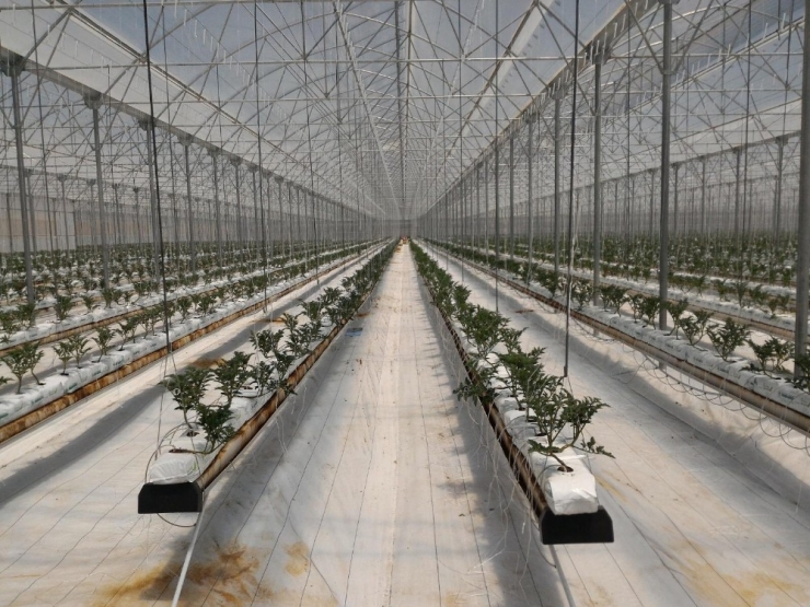 Kırsal Ekonomik Yatırım Projesi Kapsamında Antalya’ya 32 Milyon Tl Hibe