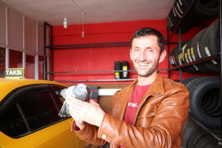 İpliğe Bağlanarak Oltu Çayı’na Düşen Güvercinler Kurtarıldı