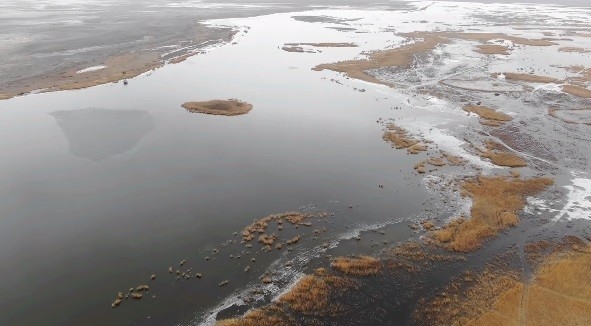 Ereğli Akgöl’de Kuş Sayımı