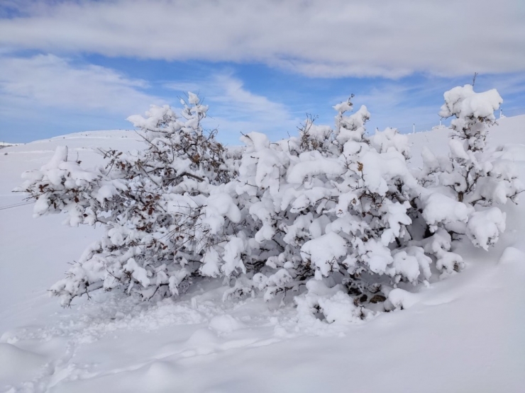 Mazıdağı’nda Etkili Olan Kar Yağışı Ve Tipi Ulaşımda Aksamalara Neden Oldu