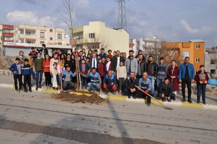 Cizre Belediyesi Yeşil Bir Gelecek İçin Çalışıyor