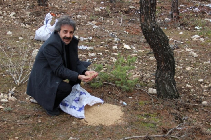 Yaban Hayvanlarına Yem Bırakıldı