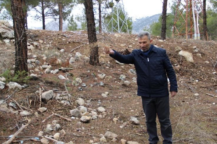 Yaban Hayvanlarına Yem Bırakıldı