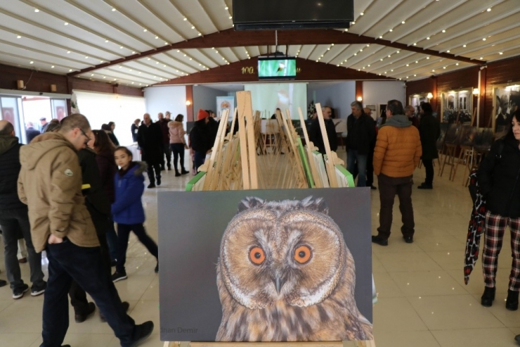 Sulak Alanlar Günü Karma Fotoğraf Sergisi Açıldı