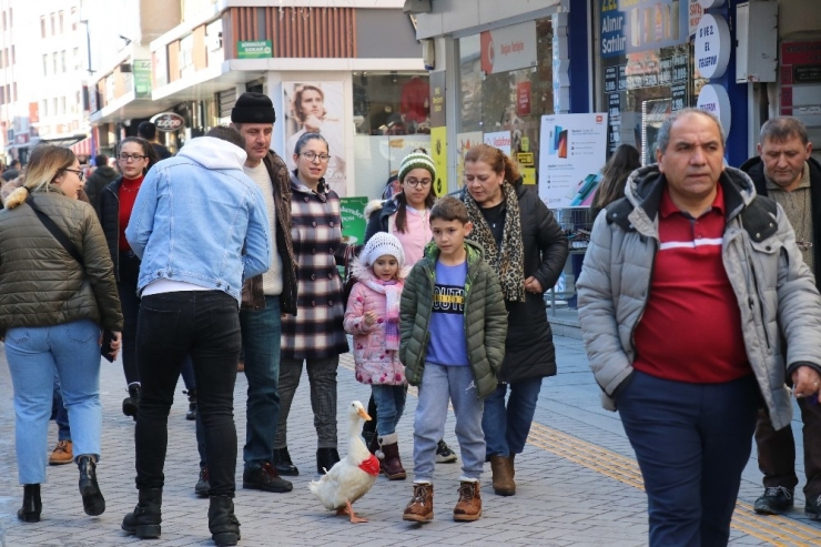 Bolu’da Çocukla Ördeği İlgi Odağı Oldu