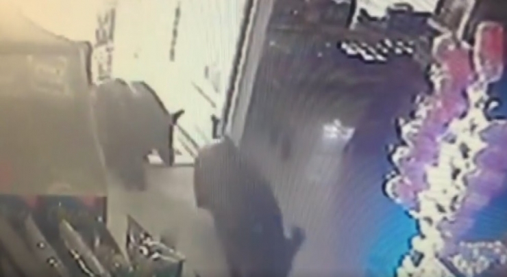 Bu Mahalleyi Domuzlar Bastı