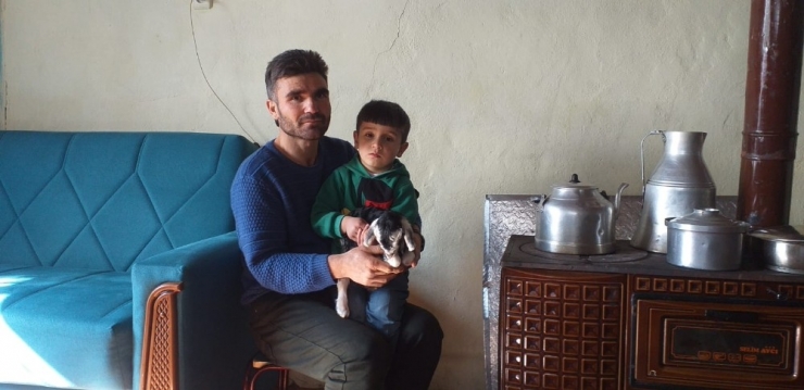 Erken Doğan Keçi Yavrusu Evde Biberonla Besleniyor